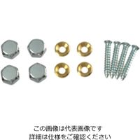 ハイロジック 飾りビスキャップタイプ 00024528-001 1セット(20個)（直送品）