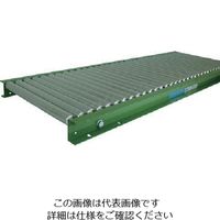 寺内製作所 TS スチールローラコンベヤφ25.4ーW300XP30X2000L LS25-300320 1台(1本) 858-1872（直送品）
