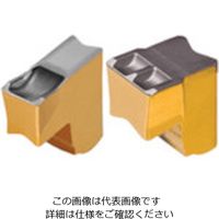 イスカル タンググリップ チップ TAG NーJ/JS/JT IC808 N3JT 1セット(10個) 521-7202（直送品）