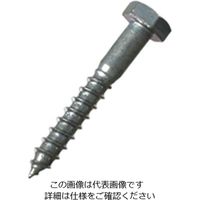 ハイロジック 六角コーチスクリュー6×40ミリ 00016139-001 1セット(70個)（直送品）