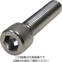 ダイドーハント HP ステンレス六角穴付ボルト 8X15 2本入 10186482 1セット(10本:2本×5袋) 828-4344（直送品）