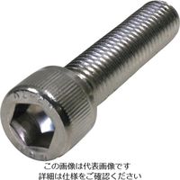 ダイドーハント HP ステンレス六角穴付ボルト 4X30 4本入 10186617 1セット(20本:4本×5袋) 828-4373（直送品）