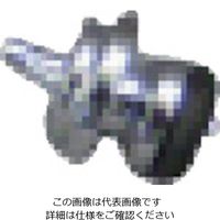 扶桑精機 扶桑 ルミナ自動スプレーガン HM用部品#1 ノズルΦ1.0（#4Oリング付） 29100 1個 810-5777（直送品）