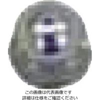 扶桑精機 扶桑 ルミナ自動スプレーガン PSー3K型用部品 #2 エアキャップ 29261 1個 810-5894（直送品）