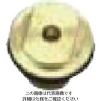 扶桑精機 扶桑 ルミナ自動スプレーガンSTー5/6型用部品 #8 ピストン(Oリング付) 29359 1個 810-5805（直送品）