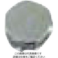 扶桑精機 扶桑 ルミナ自動スプレーガン STー5/6型用部品 プラグ 29375 1個 810-5942（直送品）