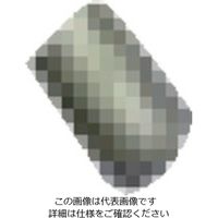 扶桑精機 扶桑 ルミナ自動スプレーガン PSー3K型用部品 #30 ピストンガイドネジ 29289 1個 810-5922（直送品）