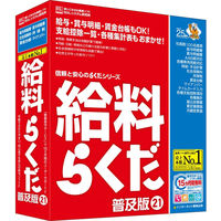 BSLシステム研究所 給料らくだ21普及版 1個