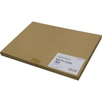 桜井 レーザーピーチグロス WETY-125G A3　1冊(100枚入)（直送品）