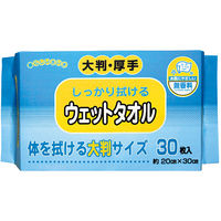 ストリックスデザイン（カナッペ）ウェットタオル　大判・厚手　1セット（30枚入×10パック）【からだふき／ウェット】濡れタオル