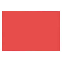 大王製紙 再生色画用紙 8ツ切10枚きんぎょこいあか _ 1冊（直送品）