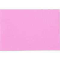 大王製紙 再生色画用紙 8ツ切 10枚 もも B-18 1冊（直送品）