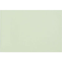 大王製紙 再生色画用紙 8ツ切 10枚 うすみどり B-37 1冊（直送品）