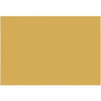 大王製紙 再生色画用紙 8ツ切 10枚 くちばいろ B-47 1冊（直送品）