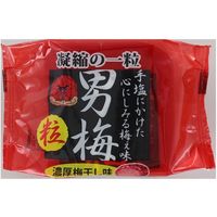 ノーベル製菓 男梅粒 45180323 14G×12個（直送品）