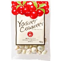 共立食品 ヨーグルトクランベリー 4901325275110 46G×20個（直送品）