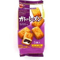 ブルボン ガトーレーズン ファミリーサイズ 1セット（10個入×3袋