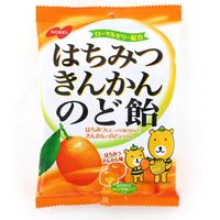 ノーベル製菓 はちみつきんかんのど飴 4902124626196 110G×12個（直送品）