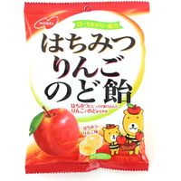 ノーベル製菓 はちみつりんごのど飴 4902124680303 110G×12個（直送品）