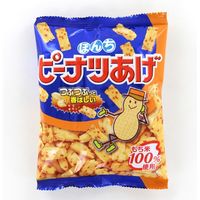 ぼんち ピーナツあげ 4902450143091 70G×20個（直送品）