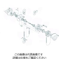 キトー チェーンブロック キトーマイティM3形 CB020・CB025用部品 ミゾナットM10 C3BA020-90493 1個 498-9031（直送品）