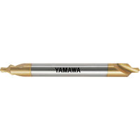 CE-QL-V-L-100-2X6（直送品）