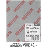A[NY ARC X|WރV[g ~fBA 149134 1Zbg(10)iij