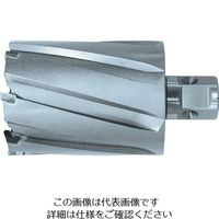 日東工器 日東 ジェットブローチ ワンタッチタイプ 48X75L 07707 NO.07707 1本(1個) 778-0061（直送品）