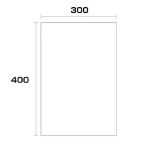 大洋社 ポリエチレン袋　厚み0.1　500枚　300幅ｘ長さ400mm 6300005036 1セット（直送品）