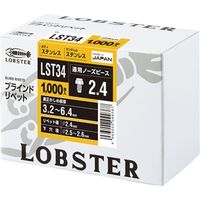 ブラインドリベット（丸頭）LST34　1箱（1000本） ロブテックス（直送品）