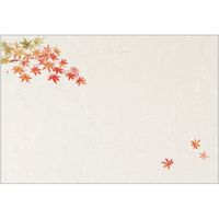 大黒工業 テーブルマット Tー124 紅葉 222386 1袋(100枚入)