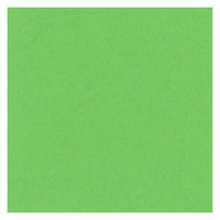 リンテック 色画用紙 ニューカラーR 四切 こいきみどり NCR2384　1包(100枚入)