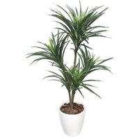 ササガワ フェイクグリーン・人工観葉植物 ユッカ Mサイズ 32-8716 1個（直送品）