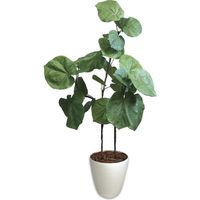 ササガワ フェイクグリーン・人工観葉植物 ウンベラータ Lサイズ 32-8722 1個（直送品）