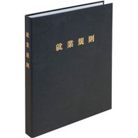 日本法令 高級就業規則ファイル（黒） 労基29-FBK 1冊（取寄品）