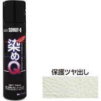 染めQテクノロジィ エアゾール 保護ツヤダシ 70ML #00197671100000 1本（直送品）