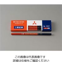 エスコ [両端 赤・青] 鉛 筆 (12本) EA765MC-33 1セット(120本:12本×10箱)（直送品）
