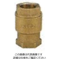 エスコ 1・1/4” リフトチャッキバルブ(竪型/青銅製) EA465AG-12 1個（直送品）