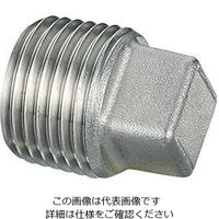 エスコ R 2・1/2” プラグ(ステンレス製) EA469AL-325A 1セット(2個)（直送品）