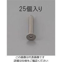 エスコ M3 x 6mm 六角穴付皿頭ボルト(ステンレス/25本) EA949MD-306 1セット(250本:25本×10パック)（直送品）