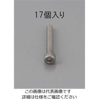 エスコ M6 x 10mm 六角穴付ボルト(ステンレス製/17本) EA949MB-610 1セット(170本:17本×10パック)（直送品）