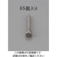 エスコ M3 x 14mm 六角穴付ボルト(ステンレス製/65本) EA949MB-314 1セット(650本:65本×10パック)（直送品）