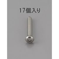 エスコ M4 x16mm 六角穴付鍋頭ボルト(ステンレス製/17本) EA949MF-416 1セット(170本:17本×10パック)（直送品）