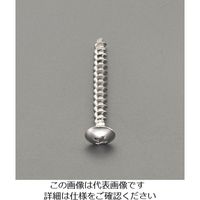 エスコ 6x50mm ドリルビス(ALC用/トラス頭/30本) EA945SC-72 1セット(120本:30本×4パック)（直送品）