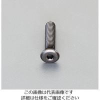 エスコ M4 x10mm 六角穴付ボルト(超低頭/クロメート/4本) EA949MG-410A 1セット(60本:4本×15パック)（直送品）