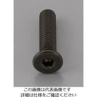 エスコ M4 x12mm 六角穴付ボルト(超低頭/クロメート/4本) EA949MG-412A 1セット(60本:4本×15パック)（直送品）