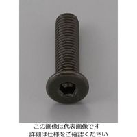 エスコ M6 x12mm 六角穴付ボルト(超低頭/クロメート/4本) EA949MG-612A 1セット(60本:4本×15パック)（直送品）