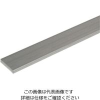 光モール アルミ平板 AP-3×15 1000mm 485 1セット（2枚）（直送品）