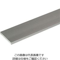 光モール アルミ平板 AP-3×25 1000mm 487 1セット（2枚）（直送品）