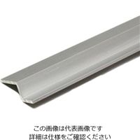 光モール アルミ水切 AZ-10 1000mm 582 1セット(2本)（直送品）